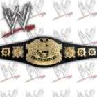 WWE ECW Tag Team Championship Kids Size Replica Wrestling Belt