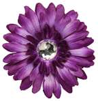 Crystal Gerber Daisy Flower Clip     