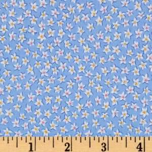  44 Wide Three Bears Collection Flowers Blue/White Fabric 