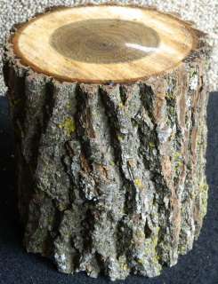 Rustic Black Walnut Small Log Project Turning Wood 9418  
