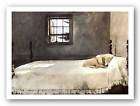 master bedroom andrew wyeth dog on bed sleeping one day shipping 