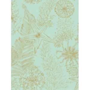    Wallpaper York By the Sea Coral Reef AC6017