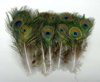 25 Pcs MINI PEACOCK Natural Feathers 2 5 Pads/Trim/Hat  
