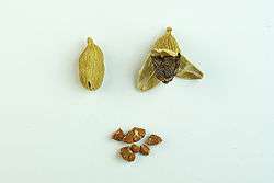   seeds black cardamom cardamom powder dry grapes ayurveda herbs spices