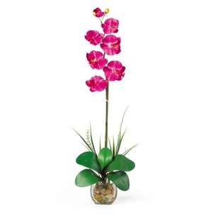 NearlyNatural Liquid Illusion Single Phalaenopsis Silk Orchid 
