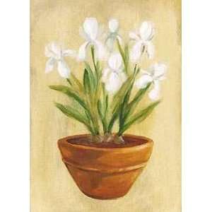  Bulb Flowerpot 2    Print