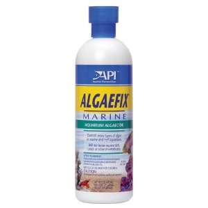  API Algaefix Marine   16 oz. 