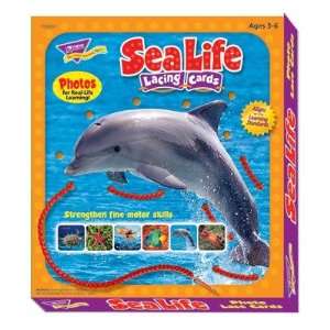 Trend Enterprises T 35201 Lacing Cards Sea Life  Toys & Games 
