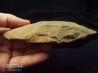 GIANT Authentic Palaeolithic Tool Hand Axes #2  