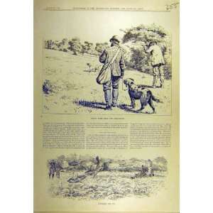    1895 Hedgrow Shooting Birds Partridge Driving Print