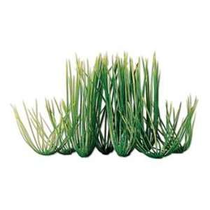  Tetra Water Wonders 9 Inch Hairgrass Plant