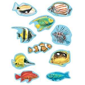   CREATED RESOURCES WY UNDER THE SEA ACCENT DAZZLERS I 