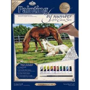  Paint By Number Kits 11X14 Horses In Field Toys & Games