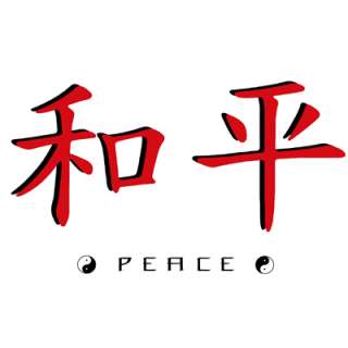 Chinese Peace Tao Zen Yin Yang Tai Chi T Shirt  