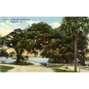 1917 Vintage Postcard Ocean Boulevard   Seabreeze   Daytona Florida