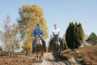 Ausritte in der Lüneburger Heide in Niedersachsen   Egestorf  Pferde 