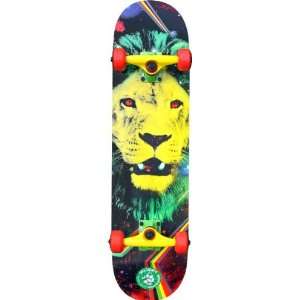   Lion Complete 7.7 Rasta Skateboarding Completes