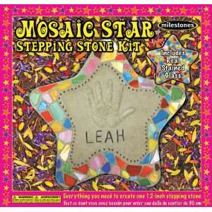  Mosaic Star Stone Kit  (90115122) Toys & Games