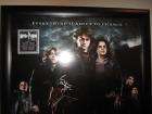 Framed Autographed Harry Potter Goblet of Fire Signed Poster by Daniel 