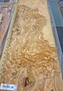 Olive Ash Burl wood veneer 13 x 37 with no backing (raw veneer 