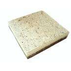 Earth Surfaces of America 12 in. x 12 in. Paver Bone with Shells and 