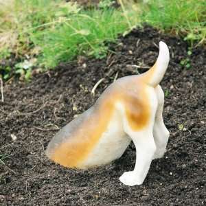 Grabender Hund Schnuffel  Garten