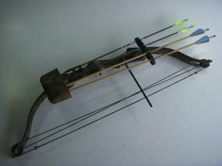 Golden Eagle Brave Youth Compound Hunting Bow +4 Arrows  