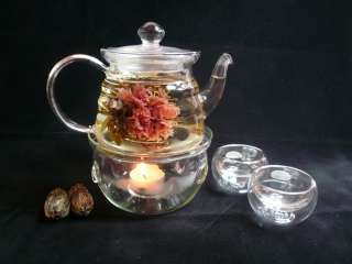 Glass Teapot + Teacups + Warmer + 12 Blooming Tea C  
