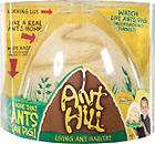 Insect Lore Live Living Ant Hill Kit Ant Maze  NEW