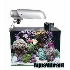  FT1202SL Finnex 4 Gallon Aquarium, Blue White 3U Bulb w 