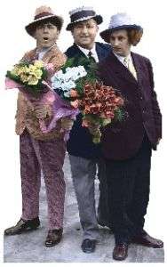 Three Stooges Flowers Standup Poster 555  