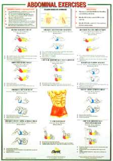 ABDOMINAL EXERCISES Fitness Wall Chart Abs Poster  