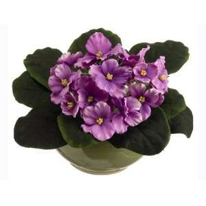  6 Artificial African Violet in Ceramin Pot, Lavender 