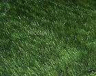 BonaRye Artificial Turf Lawn 15X6