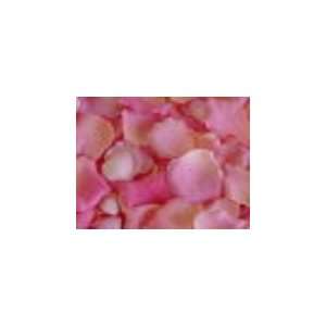  Peach Pink Scented Silk Rose Petals 