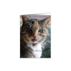  BBQ Party Invitation   Tabby Cat Card Health & Personal 
