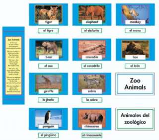 ANIMALES ZOO ANIMALS Bulletin Board Teacher Spanish NEW  