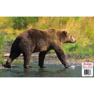  11x17 Grizzly Bear Shooting Target with Vital Zone 