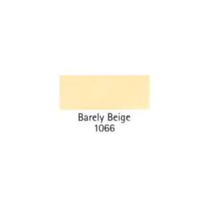  BENJAMIN MOORE PAINT COLOR SAMPLE Barely Beige 1066 SIZE2 