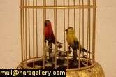 two feathered birds in a gilded cage sing a call and response canary 