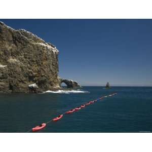 Line of Kayaks Floating from Boat Off Anacapa Island, California 