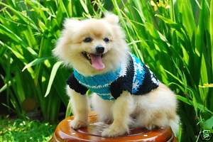 Hand Knit Crochet Dog Cat Pet Blue Summer Clothes D840  