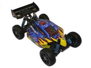 Redcat Racing 1/8 Scale Hurricane XTE Brushless Electric Buggy *New 