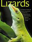 Lizards chameleons iguanas geckos habitat ecology etc B