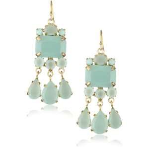    Danielle Stevens Resort Blue Chandelier Earrings Jewelry