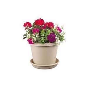  Best Quality Classic Flower Pot / Clay Size 6 Inch By 