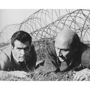  THE GREAT ESCAPE JAMES GARNER DONALD PLEASENCE 16X20 B&W 