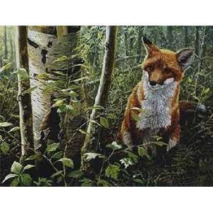  John Seerey Lester   Young Explorer Red Fox Kit Artists 