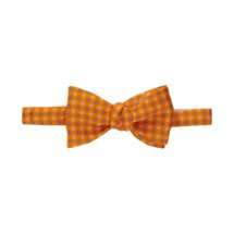 Barneys New York Simple Florette Bow Tie