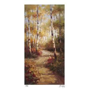 Forest Walkway by Stephen Douglas, 22x40